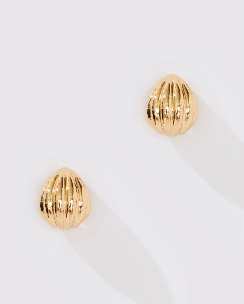 Shell Hoop Earring